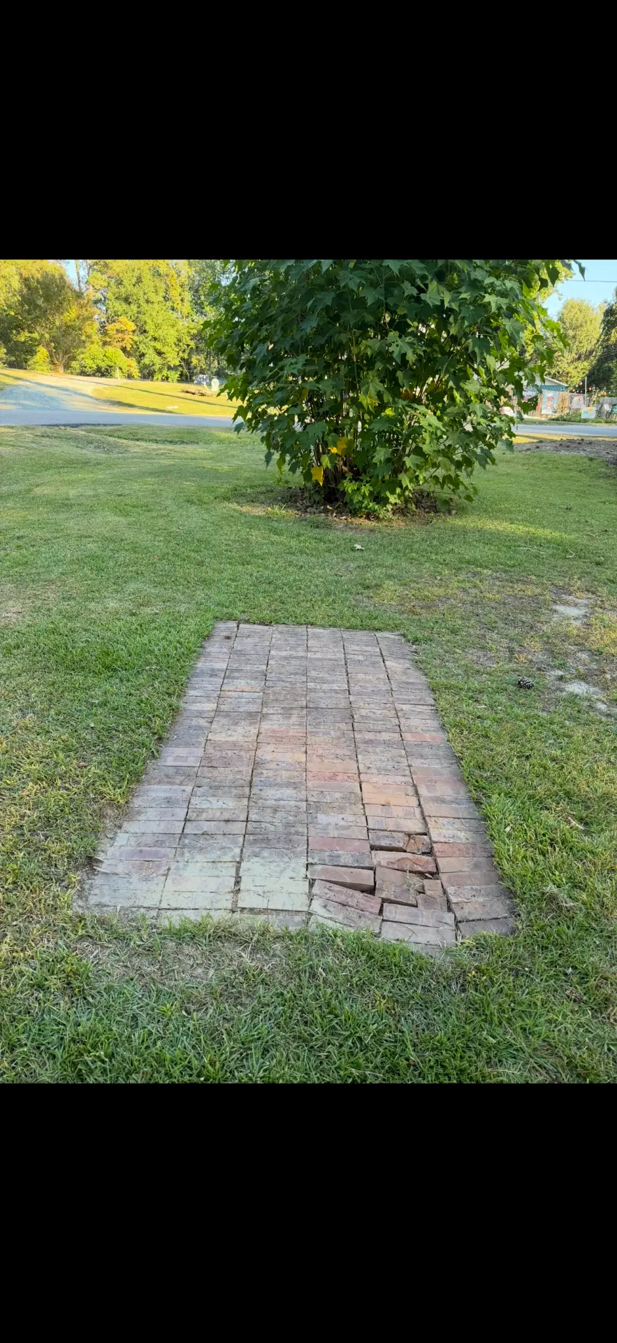 After — brick walkway cleared, exposed and tidied up