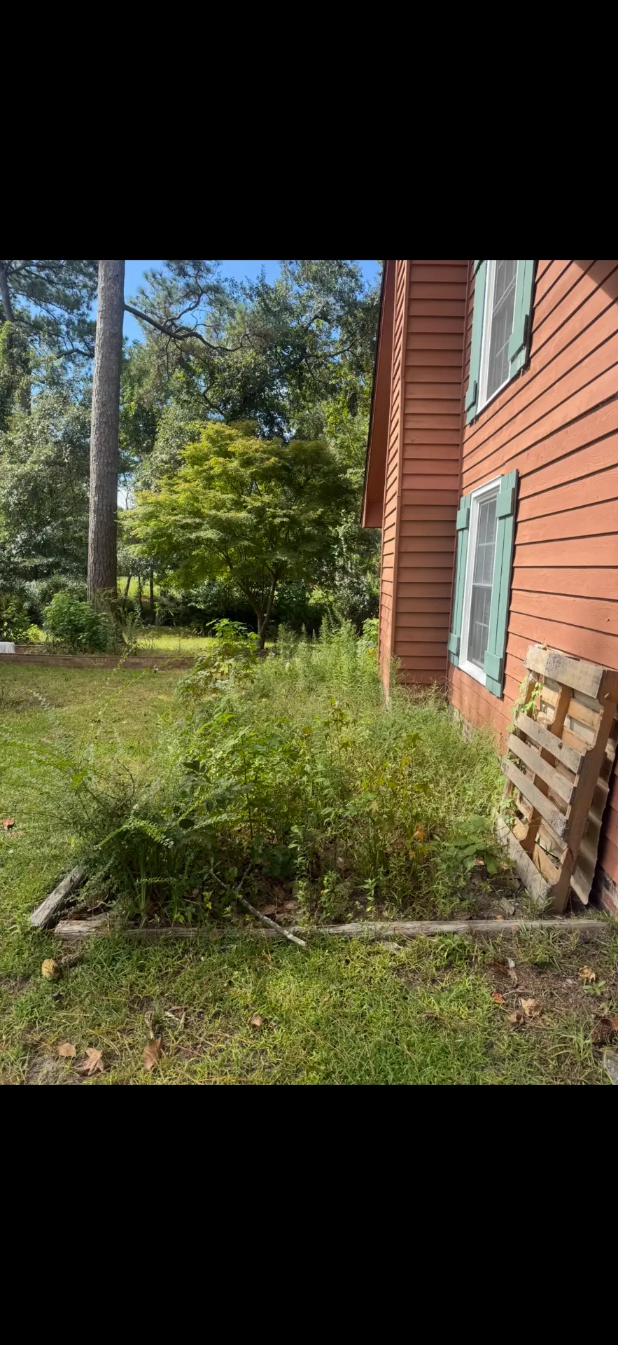 Before — overgrown weeds and brush along the side of a Wilmington home