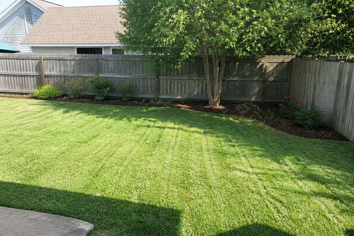 Freshly mowed and mulched backyard at golden hour
